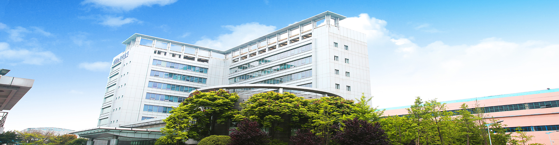 nyba1